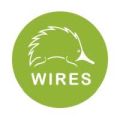 WIRES Inc.