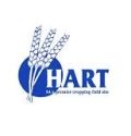 Hart Field-Site Group Inc